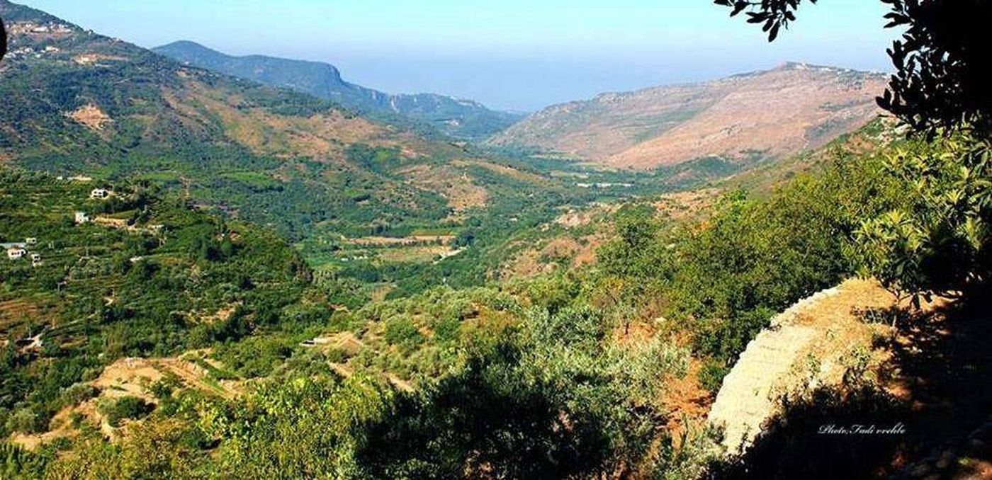 الجمهورية القوية من بسري: تقدمنا باقتراح قانون لتحويل المرج إلى ‏محمية