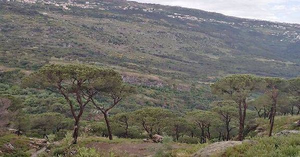 الحرارة ستنخفض في هذا الموعد... فكيف سيكون طقس نهاية الأسبوع؟