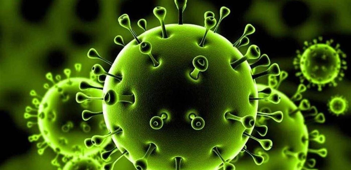 شاهدوا بالفيديو لحظة بلحظة.. هكذا يخترق كورونا أجسادنا ويتغلغل