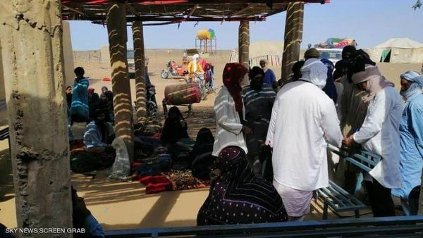 الملاريا تفتك بالطوارق في مالي والنيجر
