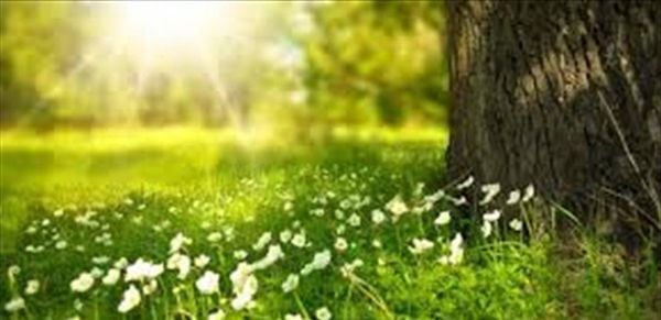 ربيعي مستقر.. هكذا سيكون طقس الأيام المقبلة!