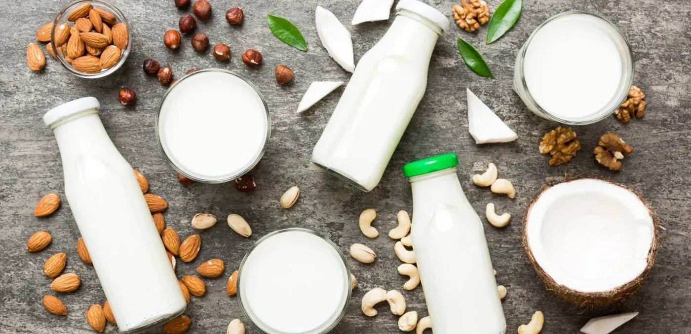 الألبان كاملة الدسم تعود إلى الواجهة.. ماذا تقول الدراسات الحديثة؟