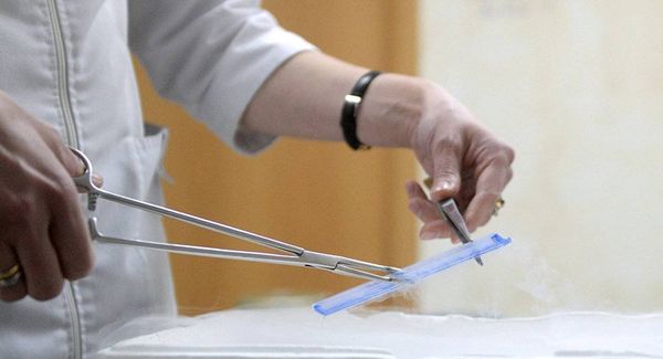مختبرات البنتاغون البيولوجية السرية تمتد من أفريقيا إلى جورجيا...ما عملها؟