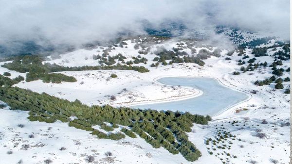 عاصفة «نورما» تشل البلاد.. وحرارة تشكيل الحكومة «تحت الصفر»
طرح «مفخخ» من باسيل «يهز الثقة» بين عون والحريري
«المستقبل» يطبّع اقتصادياً مع سوريا والرئيس المكلف «يناور»!