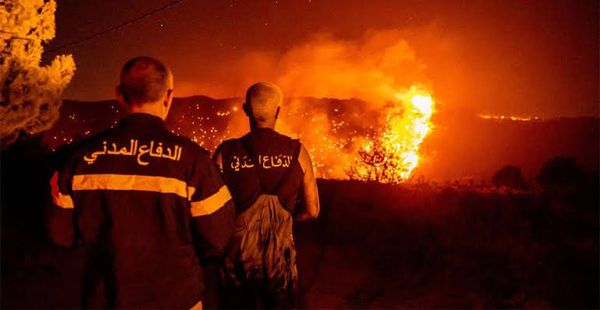 الدفاع المدني: عمليات إخماد حريق جرود البترون متواصلة رغم وعورة المنطقة وصعوبة الوصول إلى بؤر النيران فيما غادرت طوافات الجيش الموقع