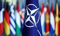 كيف علّق الناتو على  تسرّب الغاز من 