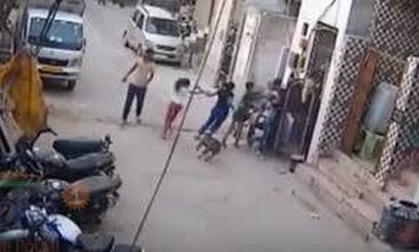 فيديو مروّع- كلب يهاجم أطفالاً يلعبون في الشارع.. ماذا فعل المارّة؟