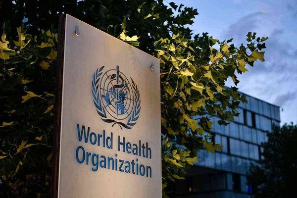 "نظرة غير متفائلة" من الصحة العالمية بشأن جدري القرود