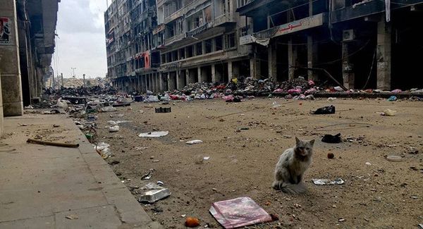 مركز المصالحة: "حركة نور الدين الزنكي" استخدمت مواد سامة في حلب