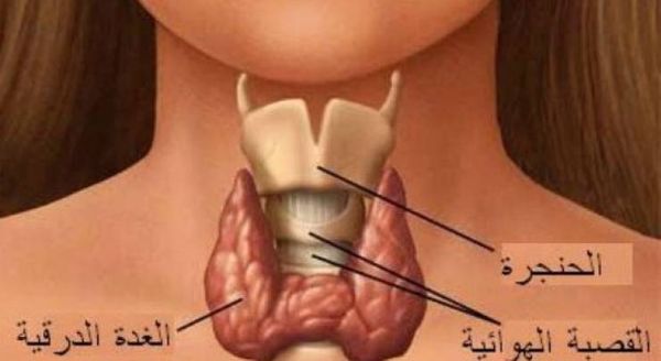 هكذا تعالج تضخم الغدة الدرقية في المنزل بمكونات طبيعية!
