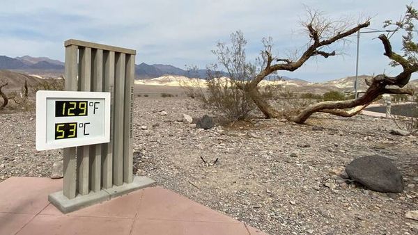 13 مدينة من 3 دول عربية تسجل أعلى درجات حرارة في العالم!