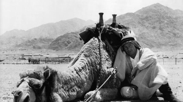 رحيل بيتر أوتول بطل 