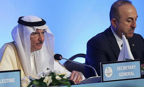 أمين عام منظمة التعاون الإسلامي: إسرائيل ترتكب جريمة حرب مكتملة الأركان