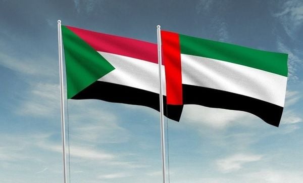 الإمارات تدعو مجلس الأمن لتوسيع حظر الأسلحة ليشمل جميع أنحاء السودان