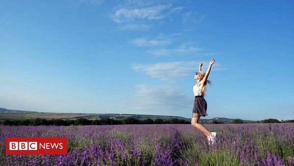 UK Heatwave 2018: The winners and losers