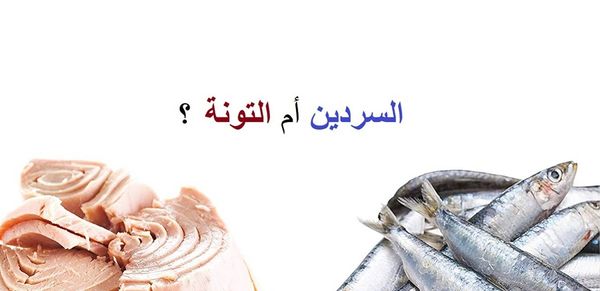 التونة أم السردين... ايهما أفضل؟
