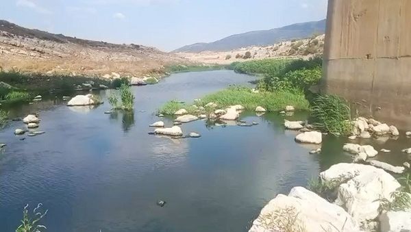 تنظيف الليطاني يدخل يومه الثالث.. إزالة عوائق وبرك المياه الملوثة في صغبين