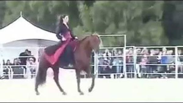 بالفيديو: حصان يراقص فتاة عربية بطريقة أشعلت قلوب الملايين!