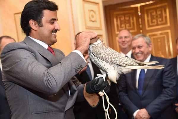 صقر.. من بوتين الى أمير قطر