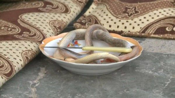 نصيحة مريضة بالسرطان: "تناول ثعبان واحد في الشهر"