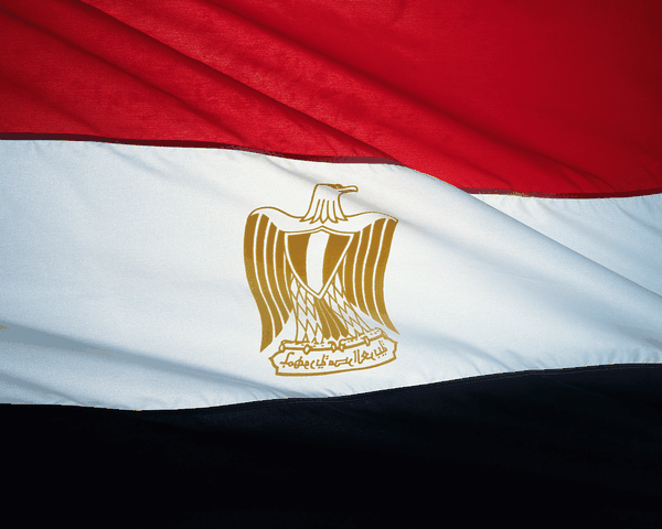  الداخلية المصرية: ضبط  225 متهما و40 خلية إرهابية 