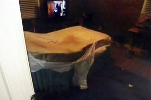 سجنت شقيقها المقعد داخل غرفة مليئة بالحشرات مدة 7 سنوات!