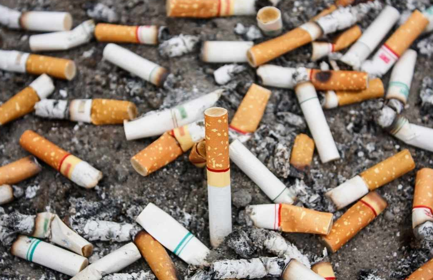 من نفايات سامة إلى موارد قيمة.. أعقاب السجائر تتحول إلى مصدر للطاقة!