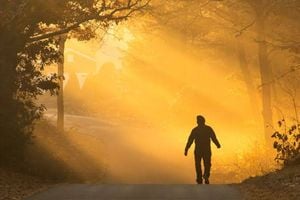 المشي الصباحي... فوائد صحية تتجاوز تحسين اللياقة