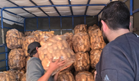 وزارة الزراعة: مكافحة التهريب أولويتنا