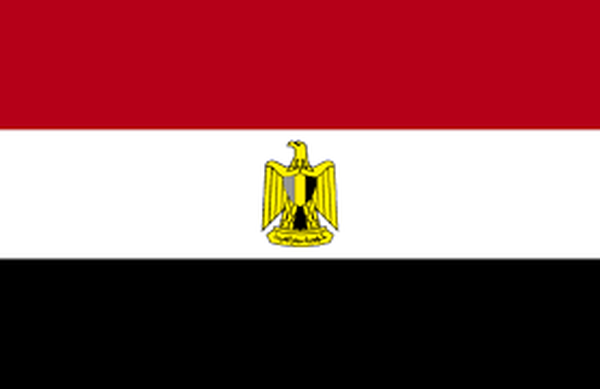 ارتفاع عدد ضحايا هجوم كنيسة حلوان إلى 9 قتلى، وقوات الأمن المصرية تبطل مفعول عبوتين ناسفتين بمحيط الكنيسة