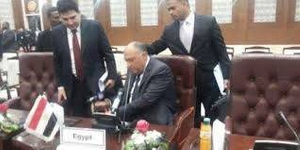 بالفيديو.. لحظة إطاحة وزير الخارجية بـ«ميكروفون الجزيرة»
