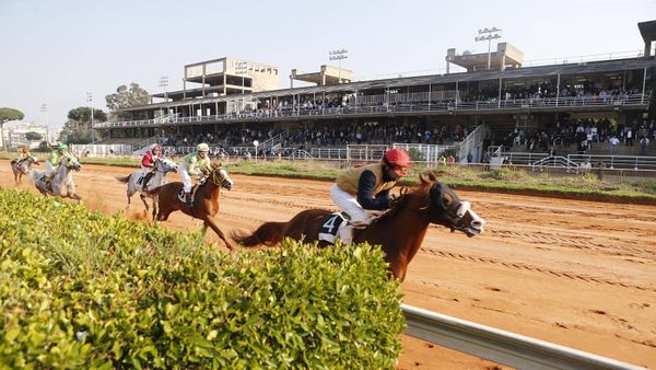 توقيف 3 قُصَّر دخلوا ميدان سباق الخيل للمراهنة