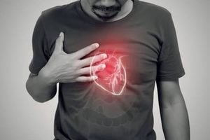 اكتشاف يفتح بابًا جديدًا لعلاج قصور القلب.. والسر في مركّب غذائي