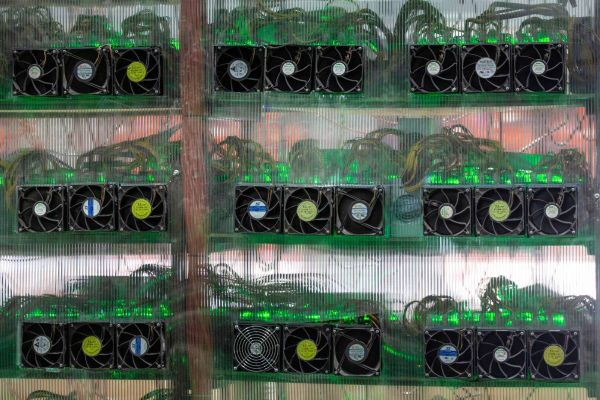 انخفاض تقلبات بتكوين يشجع المؤسسات على الانخراط بها