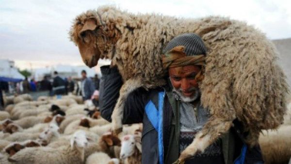 مسلمو بلجيكا يدعون لـ"مقاطعة" إحياء العيد بعد منع ذبح الأضاحي على "الطريقة الإسلامية"