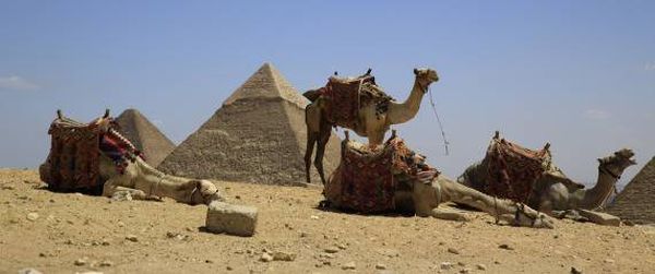 السياح يهجرون مصر.. عاملون يروون قصص معاناتهم بعد أن خلت الأهرامات من الزوار