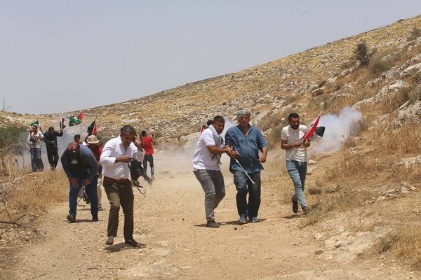 إصابة عشرات الفلسطينيين خلال قمع قوات الإحتلال مسيرات ضدّ الاستيطان