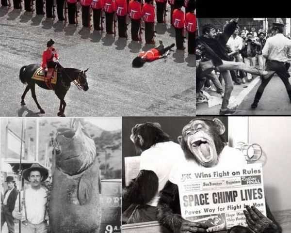 11 صورة تاريخية مدهشة لم تنل نصيبها في الشهرة!
