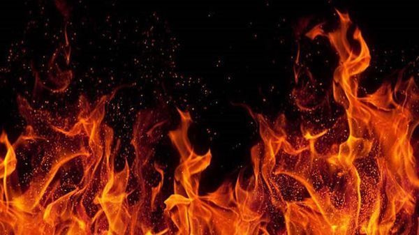 حريق التهم أشجار زيتون معمرة على مساحة 20 دونما في منطقة مرجعيون