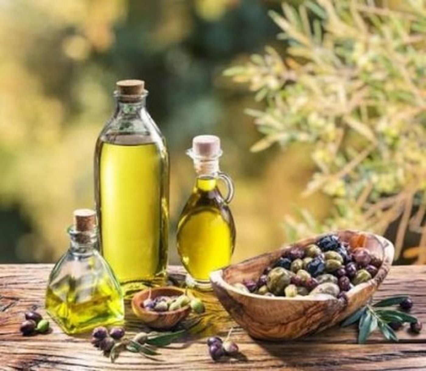 هل يعالج زيت الزيتون جرثومة المعدة؟