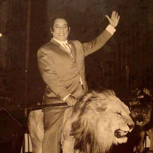 الاسد الذي اغتال محمد الحلو ومن ثم مات حزنا عليه