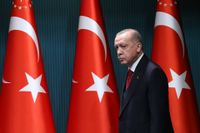 أردوغان يدعو الإتحاد الأوروبي إلى الإهتمام بتركيا على غرار أوكرانيا