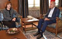 بري التقى سفيري أميركا ومصر «والجماعة الإسلاميّة»