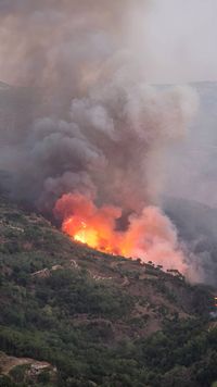 لبنان الحاضر الغائب على طاولة واشنطن؟
مُستشارة ماكرون في بيروت بعد لقائها رئيس المخابرات المصريّة
الشيخ قاسم: للصبر حدود... ولكلّ شيء نهاية