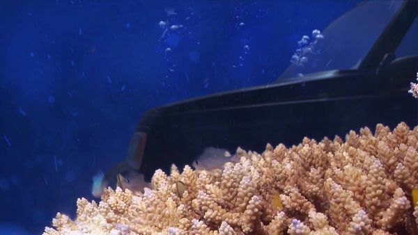 بالفيديو: “4.5” مليون شخص شاهدوا هذا المقطع.. تعرفوا على قصته!