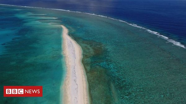 Ocean wilderness 'disappearing' globally