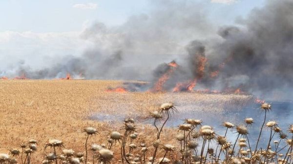 وسط بوادر أزمة جديدة.. حريق يلتهم عشرات الدونمات من قمح سوريا