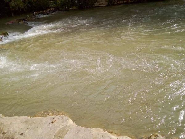 الجنوبيون الخضر أطلقت حملة لمقاطعة المتعدين على الليطاني