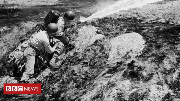 Korean War: Searching for the father they barely knew
