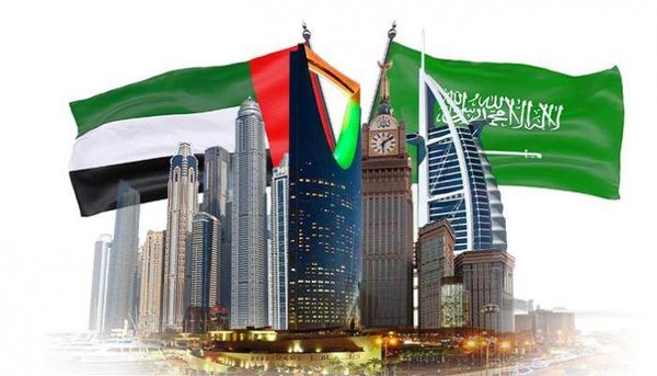 بحث إماراتي–سعودي لتطورات الأوضاع في المنطقة